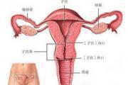 多次流产会使卵巢功能下降吗（卵巢功能下降怀孕后容易流产吗?）