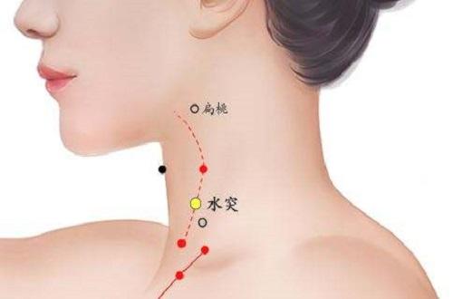 水突的准确位置图作用 水突的定位和主治