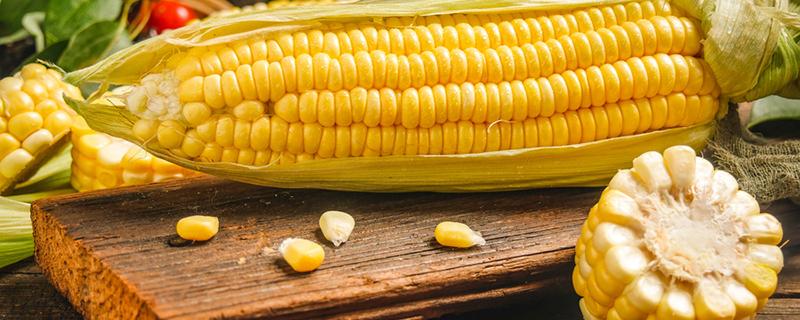 如何煮玉米棒才好吃 吃玉米能够减肥吗