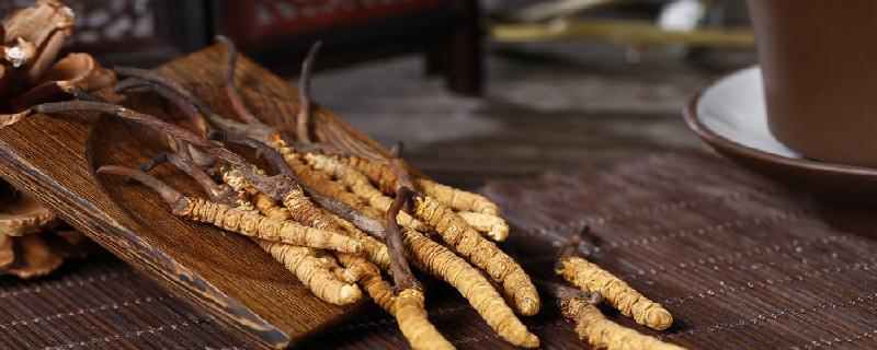 冬虫夏草可以天天泡水喝吗（冬虫夏草泡水可以每天喝吗）