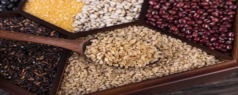 糙米可以放多久 糙米保存的具体方法
