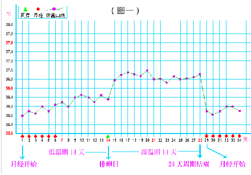 排卵期温度是多少（一般排卵期温度是多少）