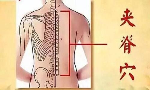 夹脊的准确位置图 夹脊的准确位置图和作用视频