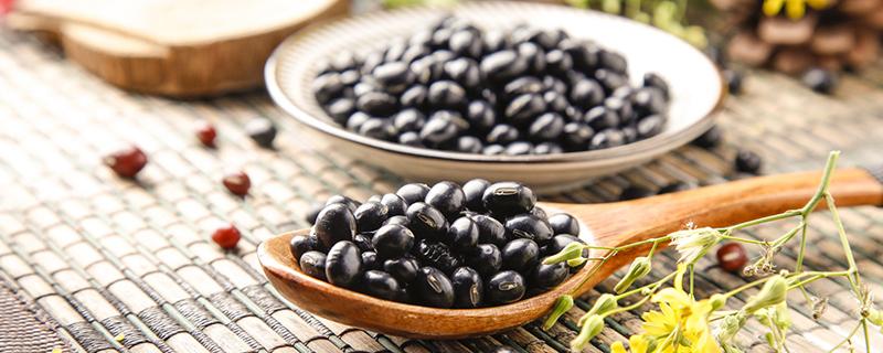 吃黑豆可以补肾吗 怎样吃黑豆补肾效果好