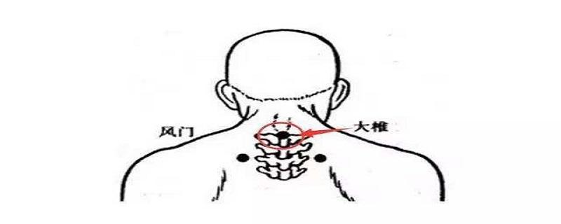 大椎的位置在哪里（大椎上面是什么位置）