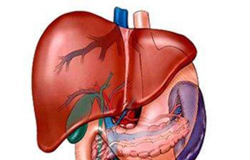 肝囊肿是怎么回事 肝囊肿是怎么回事?