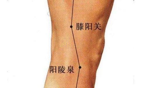 膝阳关的准确位置 膝阳关准确位置图