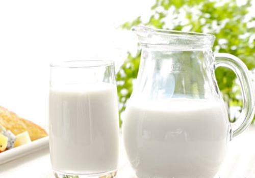痛风病人可以喝牛奶吗 痛风的病人能喝牛奶吗