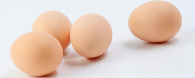 芝麻和鸡蛋能一起吃吗 黑芝麻和鸡肉能否同食