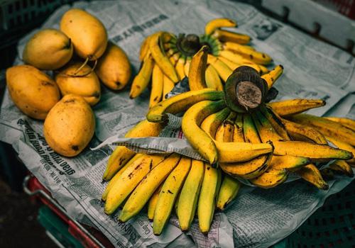 香蕉不熟能吃吗 香蕉不熟吃了会怎么样