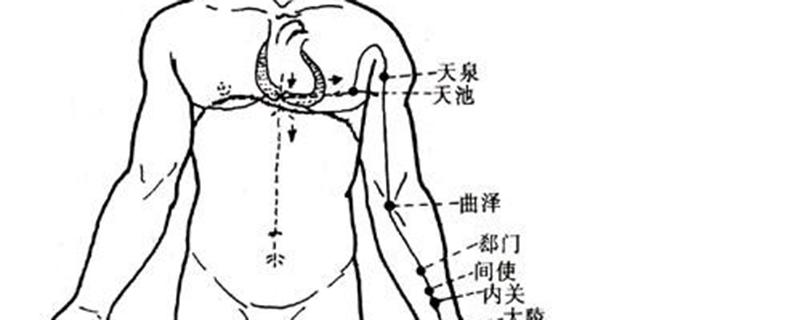 拍心包经的好处和时间 每天拍打心包经好吗