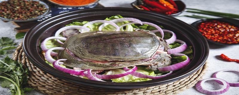 黄花菜甲鱼汤有什么营养价值 甲鱼黄花菜的做法大全家常