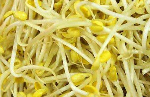 吃黄豆芽有什么好处 黄豆芽的功效