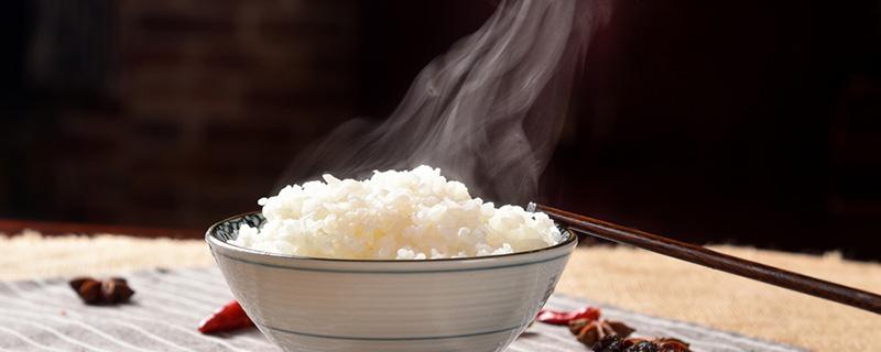 米饭的淀粉含量高吗（米饭含淀粉嘛）