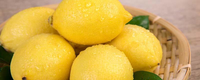 柠檬枸杞泡水的禁忌 枸杞能泡柠檬水吗