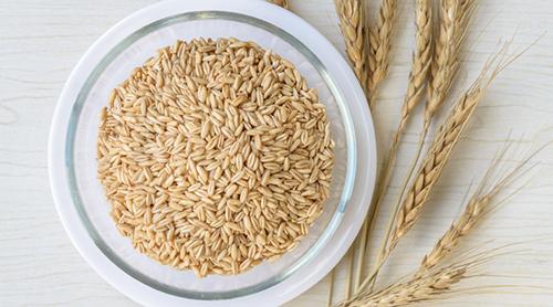 主食吃燕麦能减肥吗 燕麦配什么吃减肥