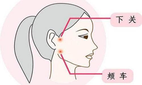 颊车的准确位置图（颊车的准确位置图和主治作用）