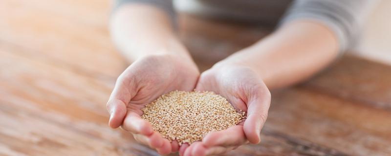 藜麦荞麦燕麦哪个更减肥 荞麦藜麦燕麦能一起吃吗