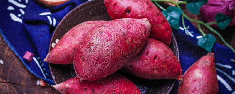 紫薯粥容易消化吗 肠胃不好可以吃紫薯吗