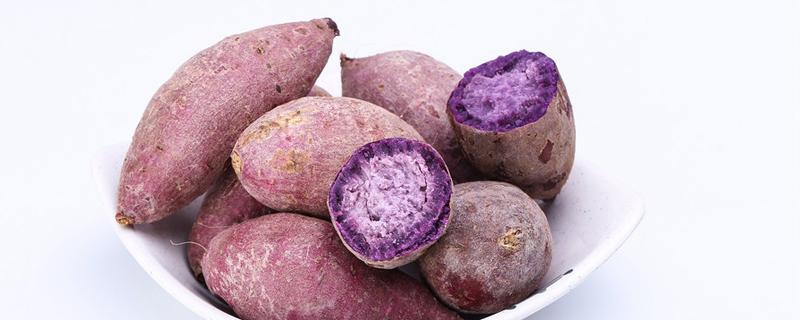 怎么判断紫薯是否变质 新鲜紫薯可以存放多久