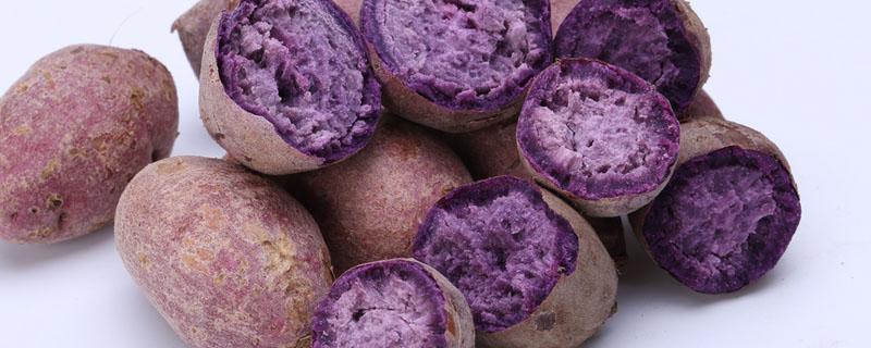 大紫薯和小紫薯哪个好吃 小紫薯一天能吃几个