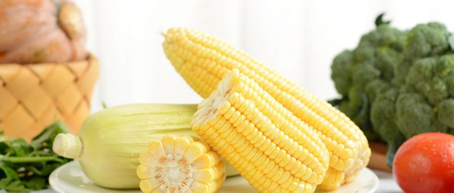 甜玉米能减肥吗 甜玉米和糯玉米哪个减肥效果好