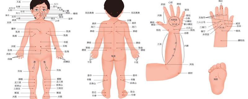 敲打带脉可以瘦肚子和小腹吗（敲带脉能瘦腰吗）