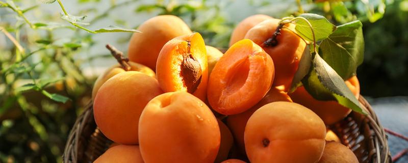 黄桃怎么保存能放时间长一点 黄桃怎么样保存的久