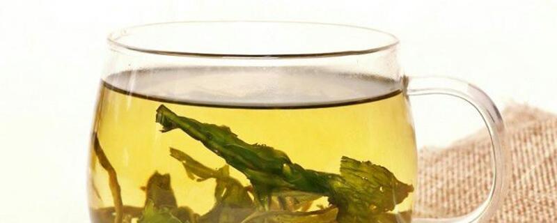 蒲公英和苦丁茶能减肚子吗 蒲公英茶的功效与作用可以长期喝吗