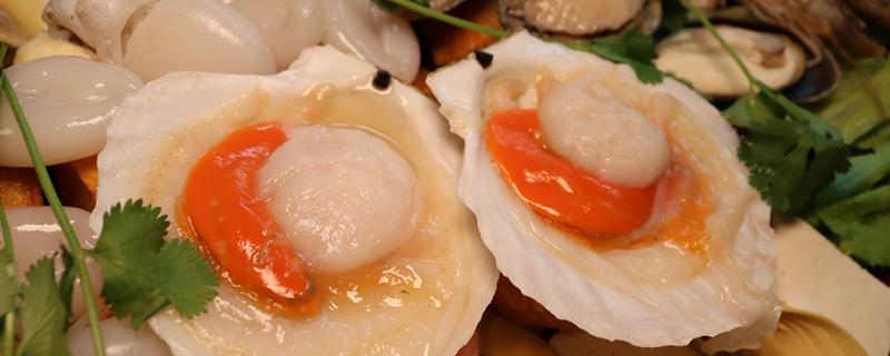 生牡蛎和煅牡蛎有什么区别 吃生牡蛎有什么作用