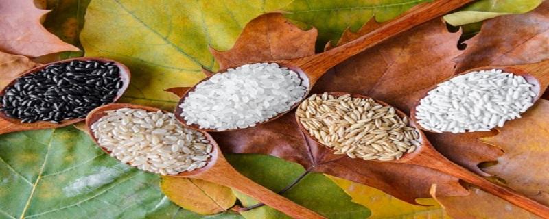 糙米不能和什么一起吃 糙米的做法及功效