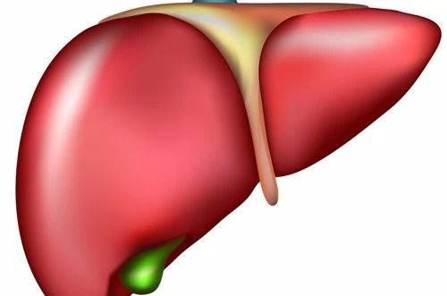 乙肝对胃的影响 乙肝跟胃有什么关系