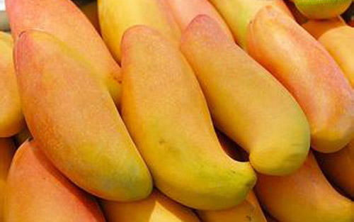 中暑能吃芒果吗 中暑能吃水果么