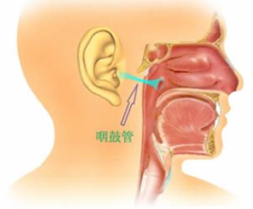 婴儿中耳炎是怎么引起的 婴儿中耳炎怎么导致的