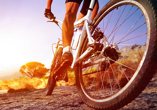 骑单车和跑步哪个减肥效果好 单车减肥效果好还是跑步好