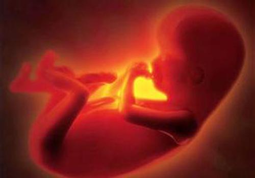 麻醉药对胎儿有影响吗（孕期用麻醉药对胎儿的影响）
