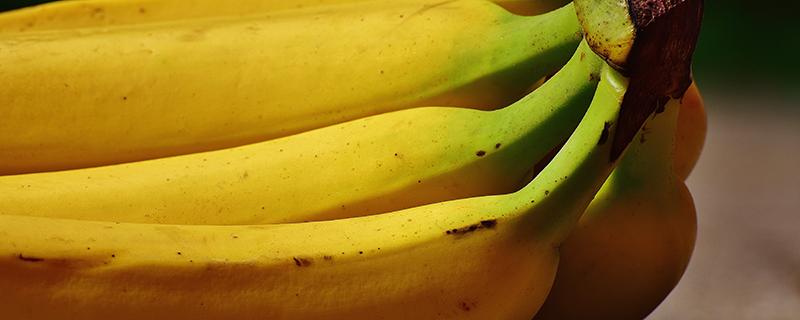 香蕉做面膜有什么效果 如何用香蕉做面膜