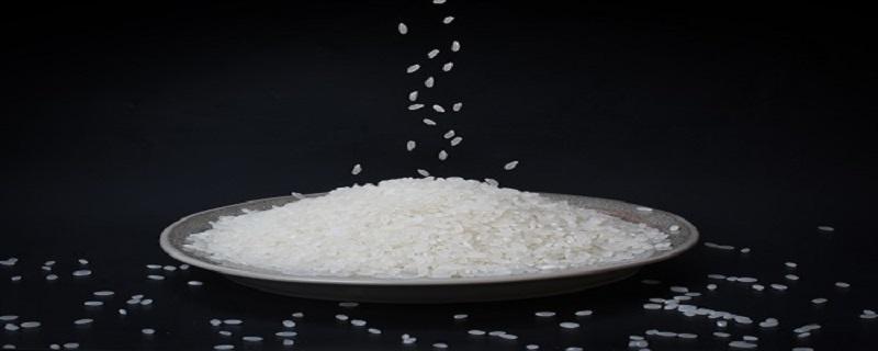 糙米如何发芽 发芽米可以吃吗