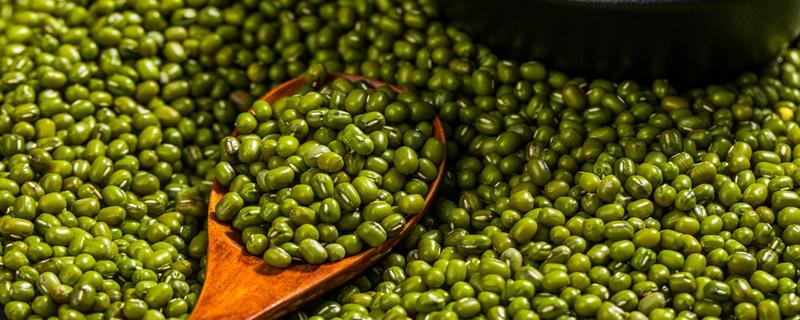 绿豆热量高为何能减肥 绿豆怎么吃减肥