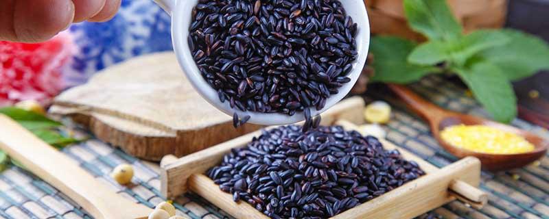 紫米吃了可以减肥吗 黑米减肥还是紫米减肥