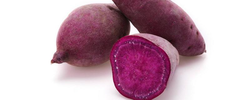 花心薯和紫薯的区别 花心番薯是转基因吗