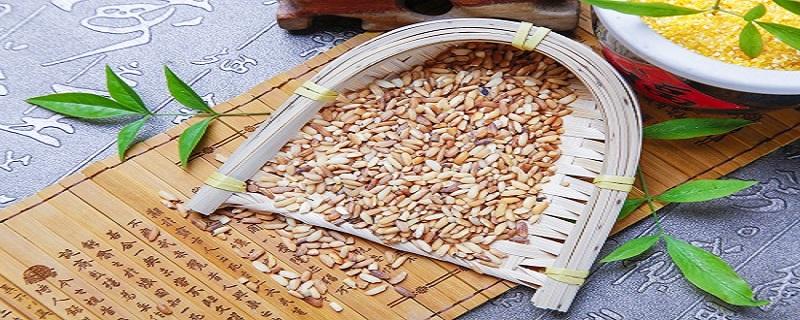 糙米的热量是多少大卡 糙米吃了会胖吗