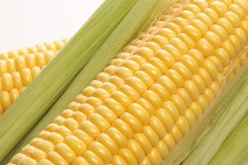 吃玉米的好处 食用玉米的禁忌