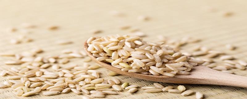 糙米为什么能减肥 糙米怎么吃减肥效果最好