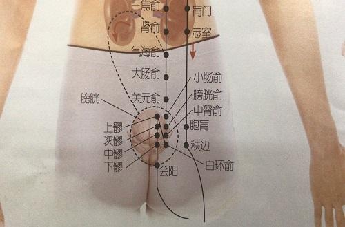 胞肓准确位置图和作用 膏肓准确位置图和作用及功效