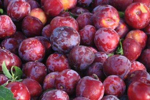 抗癌水果有哪些 抗癌最好的水果是什么