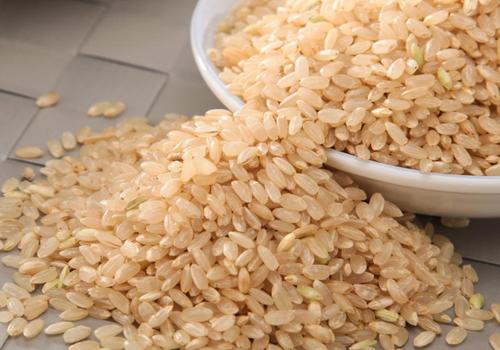 糙米为什么可以减肥 糙米怎么吃减肥