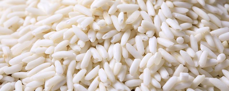 糯米和大米哪个热量高 糯米和大米哪个热量高的功效与作用