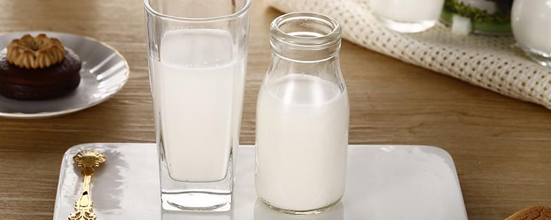 牛奶和大枣能一起吃吗 牛奶加大枣吃了会胖吗
