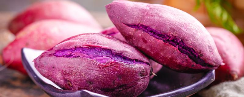 自己在家怎么做紫薯 紫薯丸子可以用面粉吗